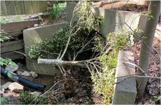 Stormwater Infrastructure | Cobb County Georgia