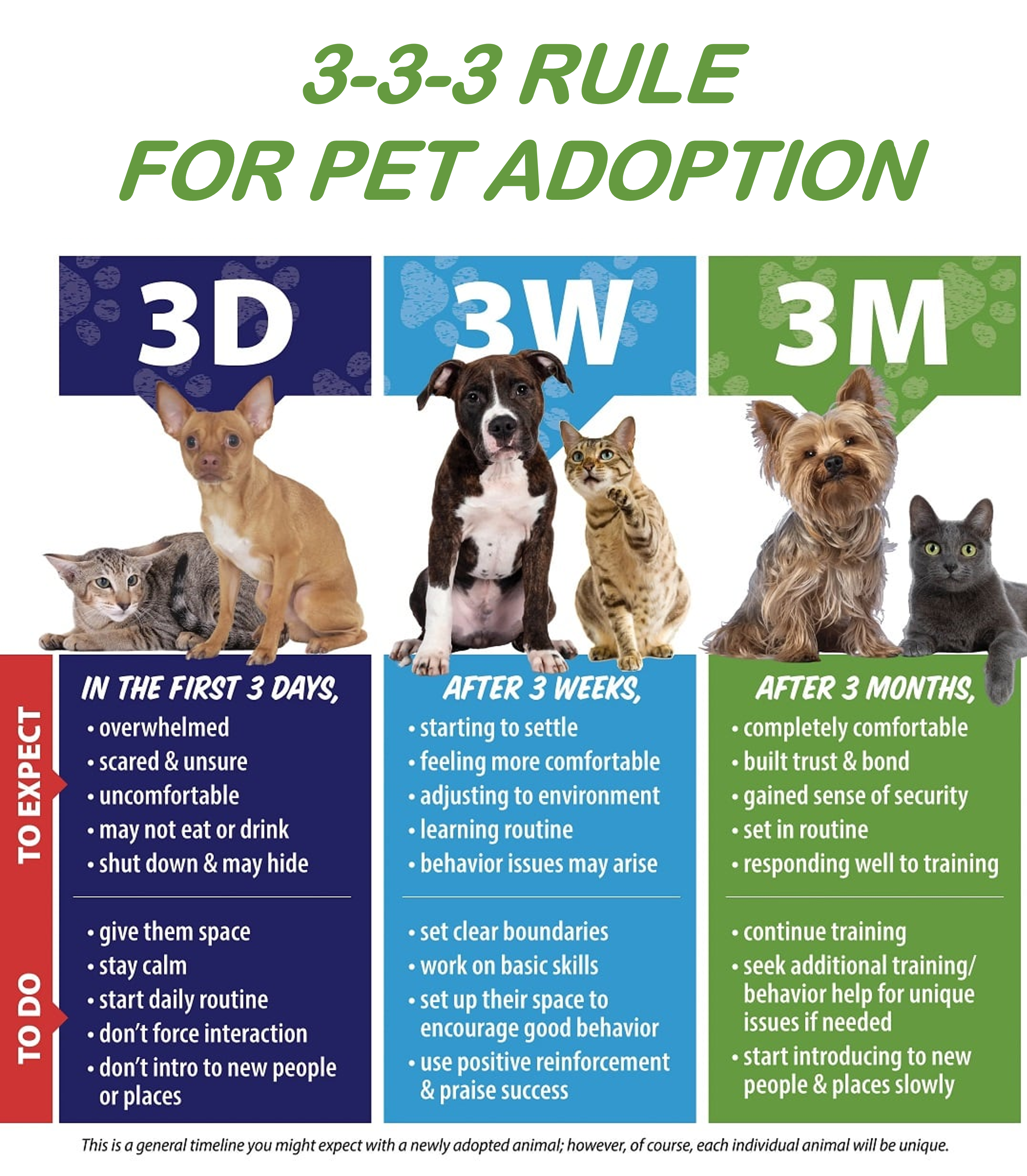333 Rule Rescue Pet Adoption Kit | Cobb County Georgia